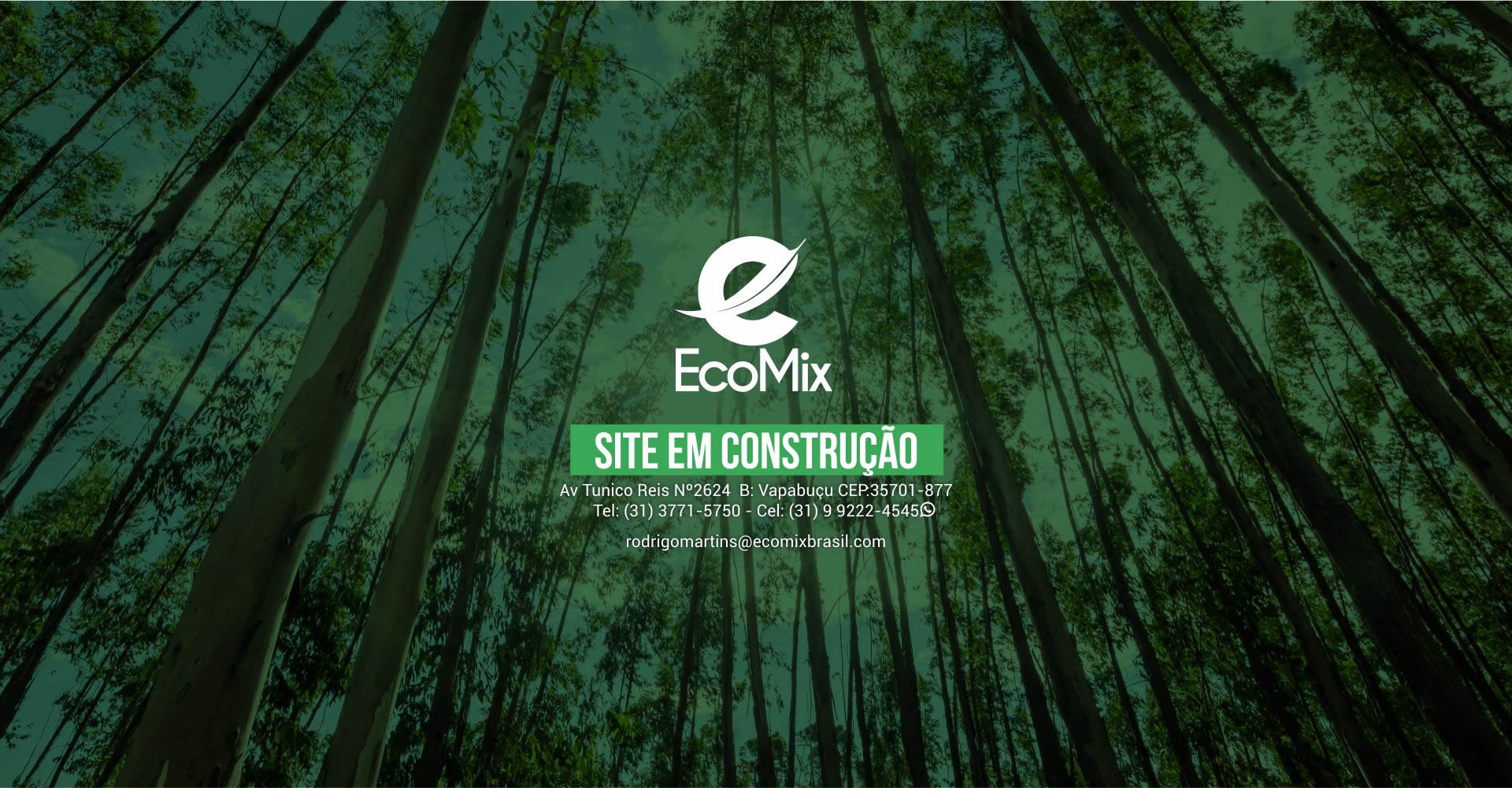 EcomixBrasil